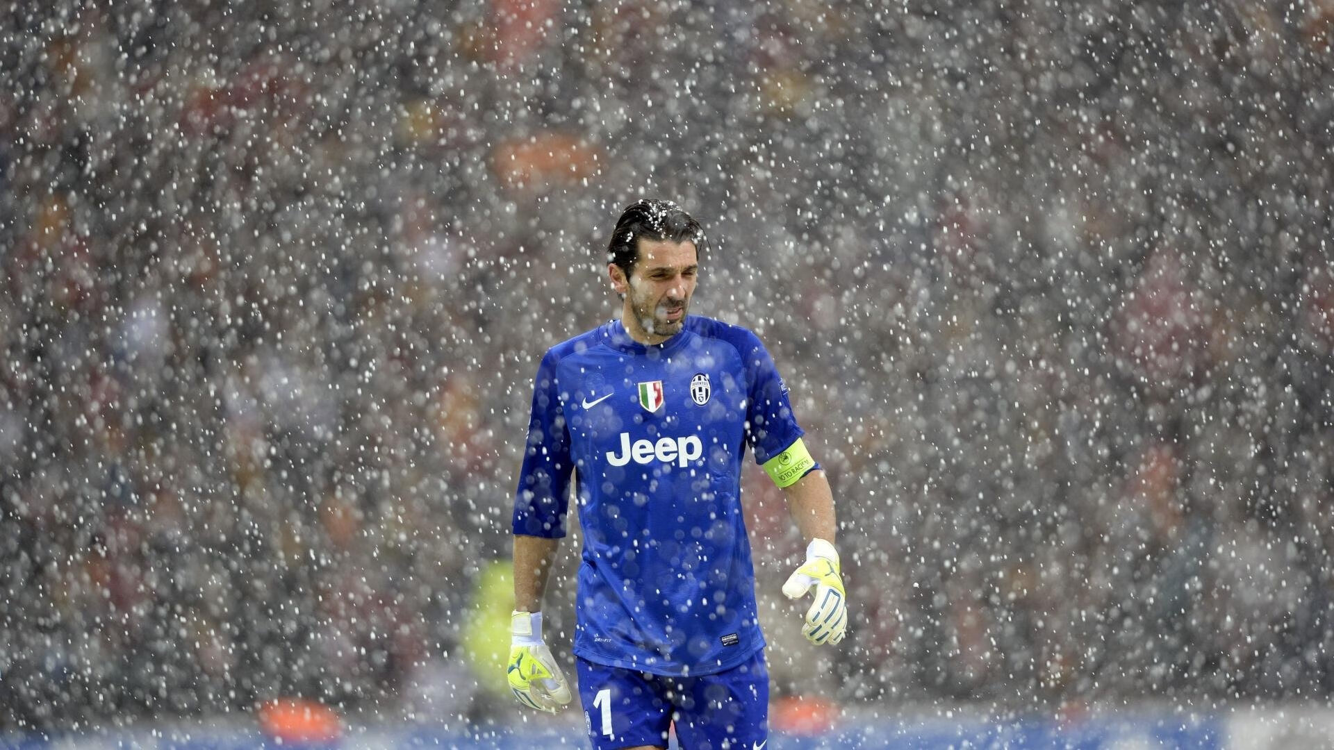 澳大利亚橄榄球赛事商业化加速,品牌价值逐步提升,澳大利亚橄榄球队